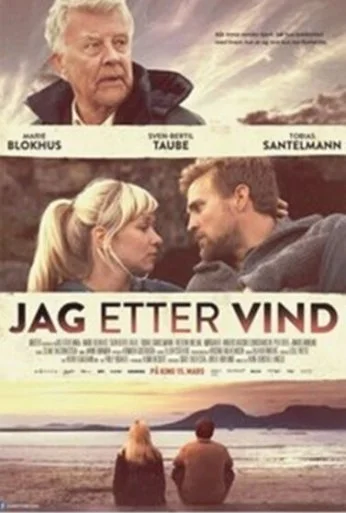Погоня за ветром (2013) онлайн бесплатно